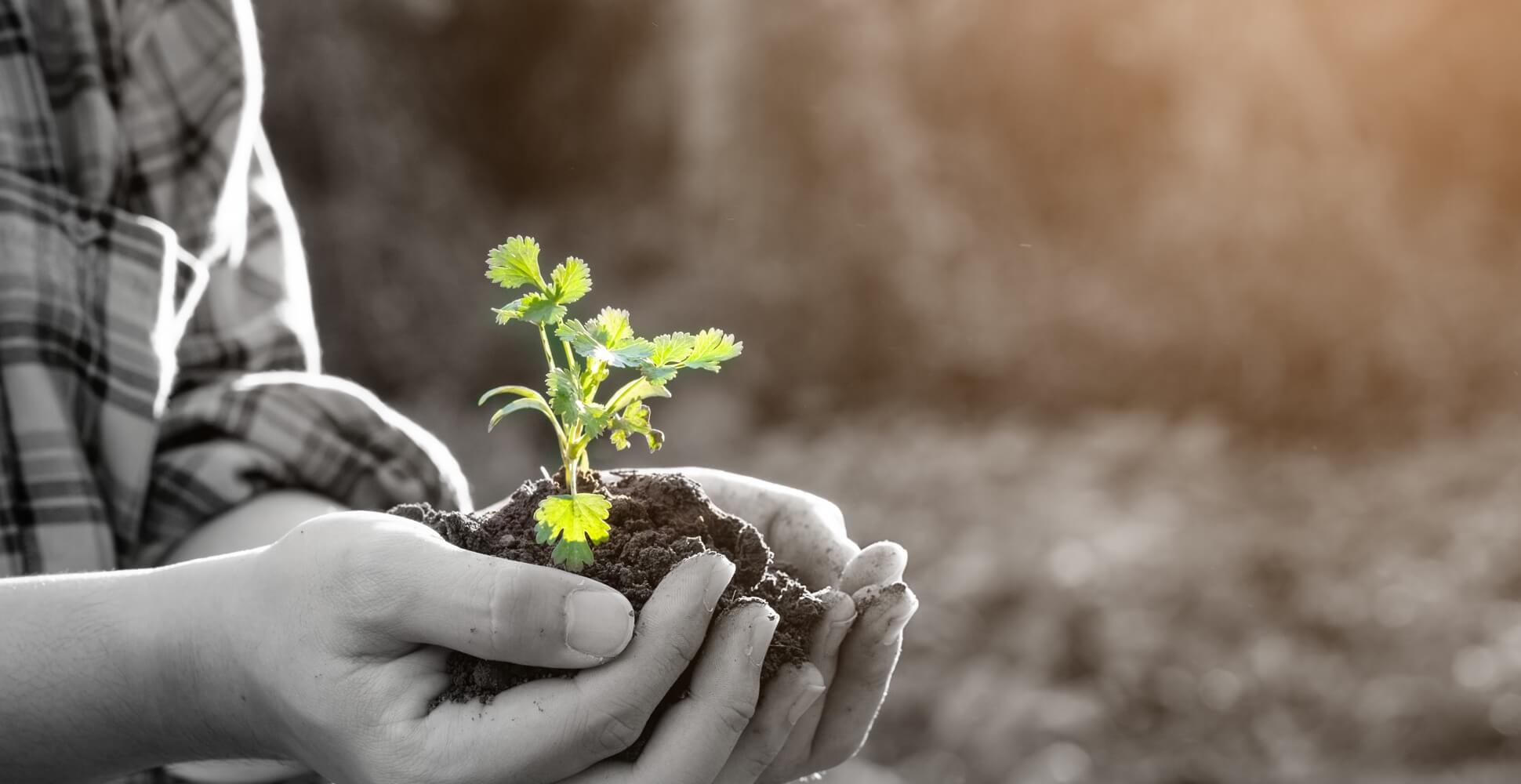 Sosyal Sorumluluk Projelerimiz